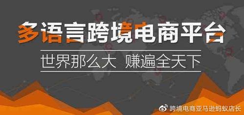 跨境电商培训,亚马逊培训,亚马逊erp系统贴牌定制