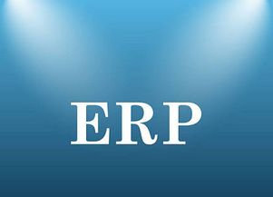 erp系统为何需要定制 优缺点是什么
