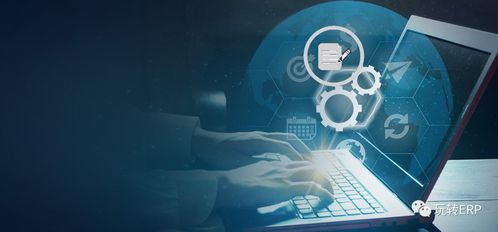 玩转erp 如果要做一个开发顾问