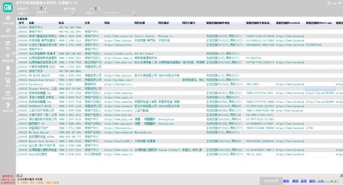 谷歌地图商家数据采集与企业业务系统定制 数字化时代的企业双引擎