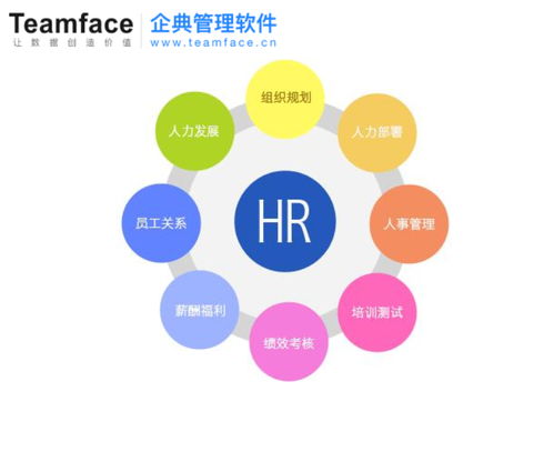 定制HR人力资源管理系统 企业节省资金与人力的高效途径
