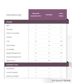 ERP小金刚Pro专业大比拼 Dynamics 365、NetSuite与Odoo定制化深度解析